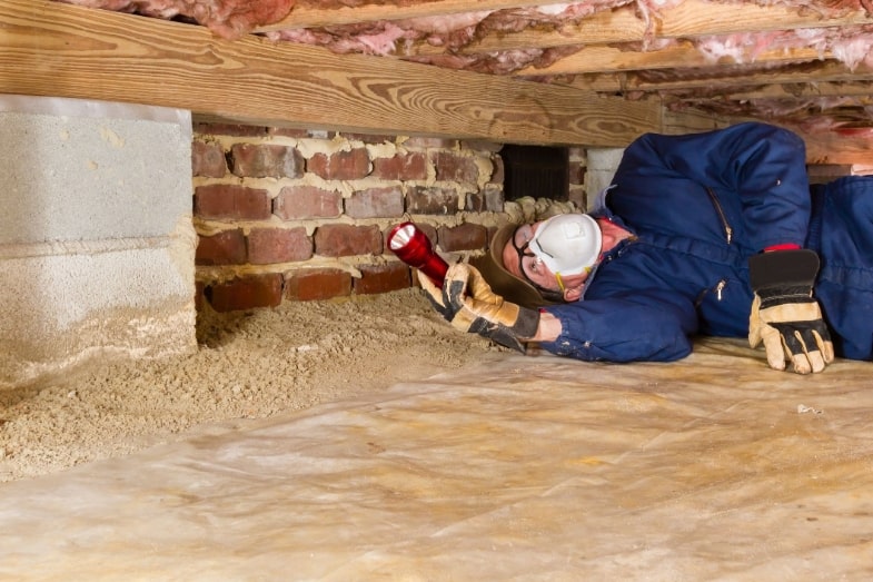 How Much Does It Cost to Encapsulate Your Crawl Space